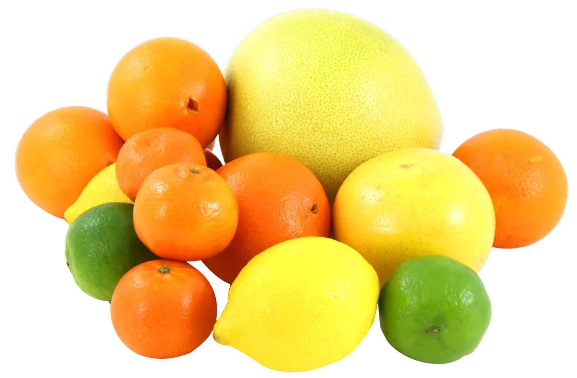 Fresh Citrus Fruits Assortment