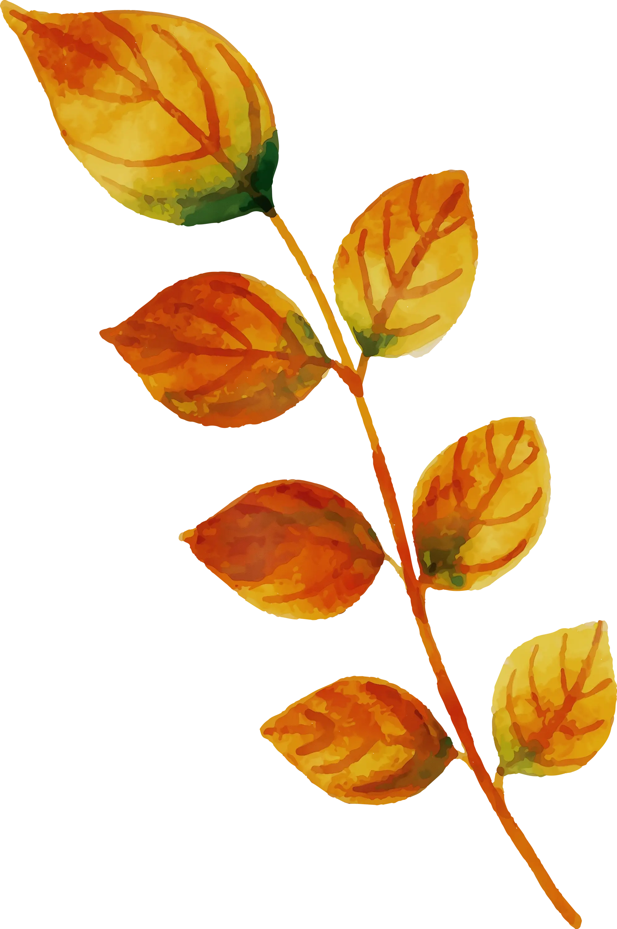 Autumn Leaves Watercolor Painting