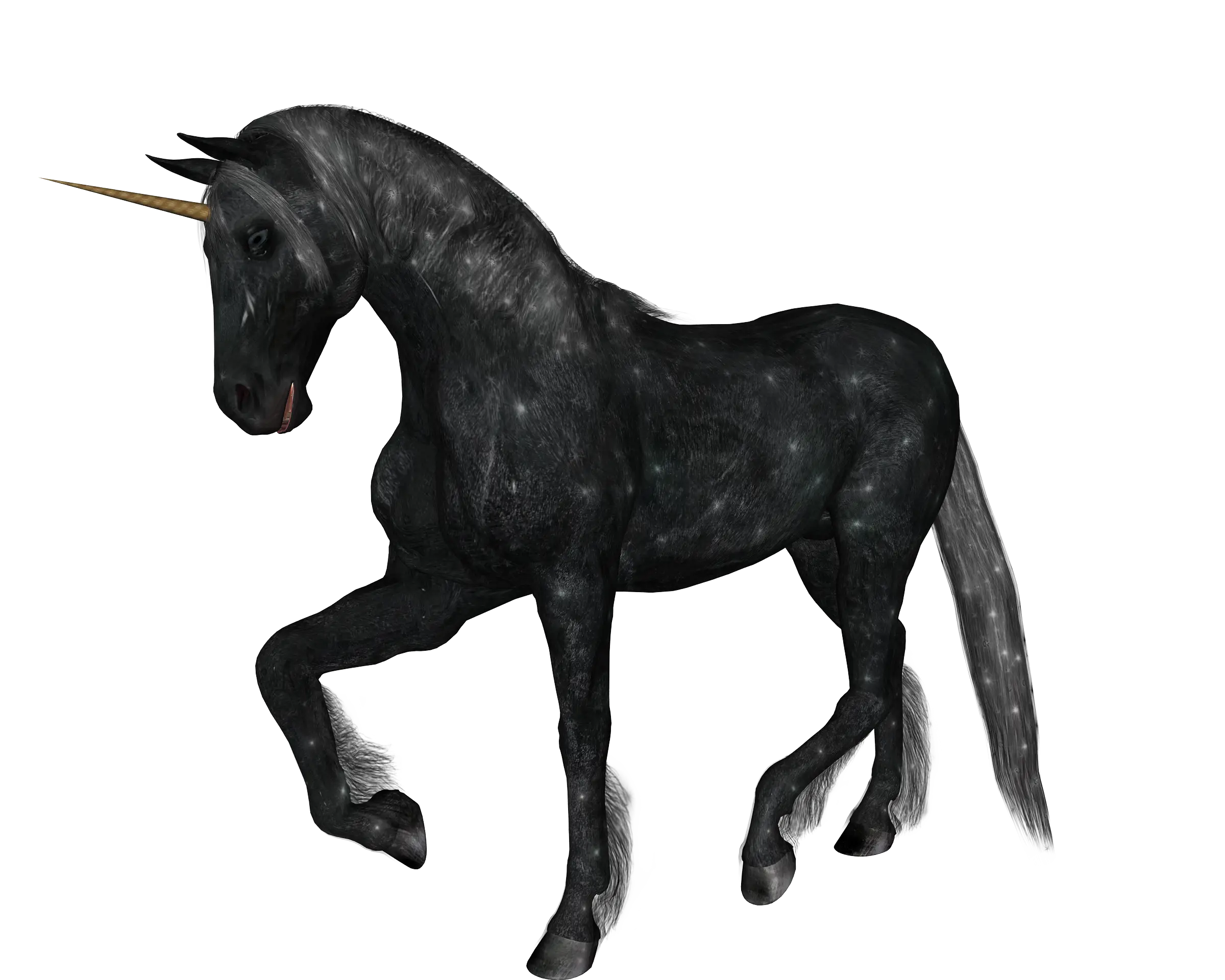 Black Unicorn Illustration with Starry Design