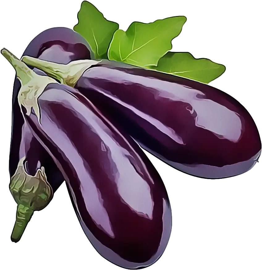 Fresh Purple Eggplants