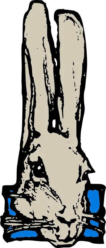 Simple Rabbit Drawing