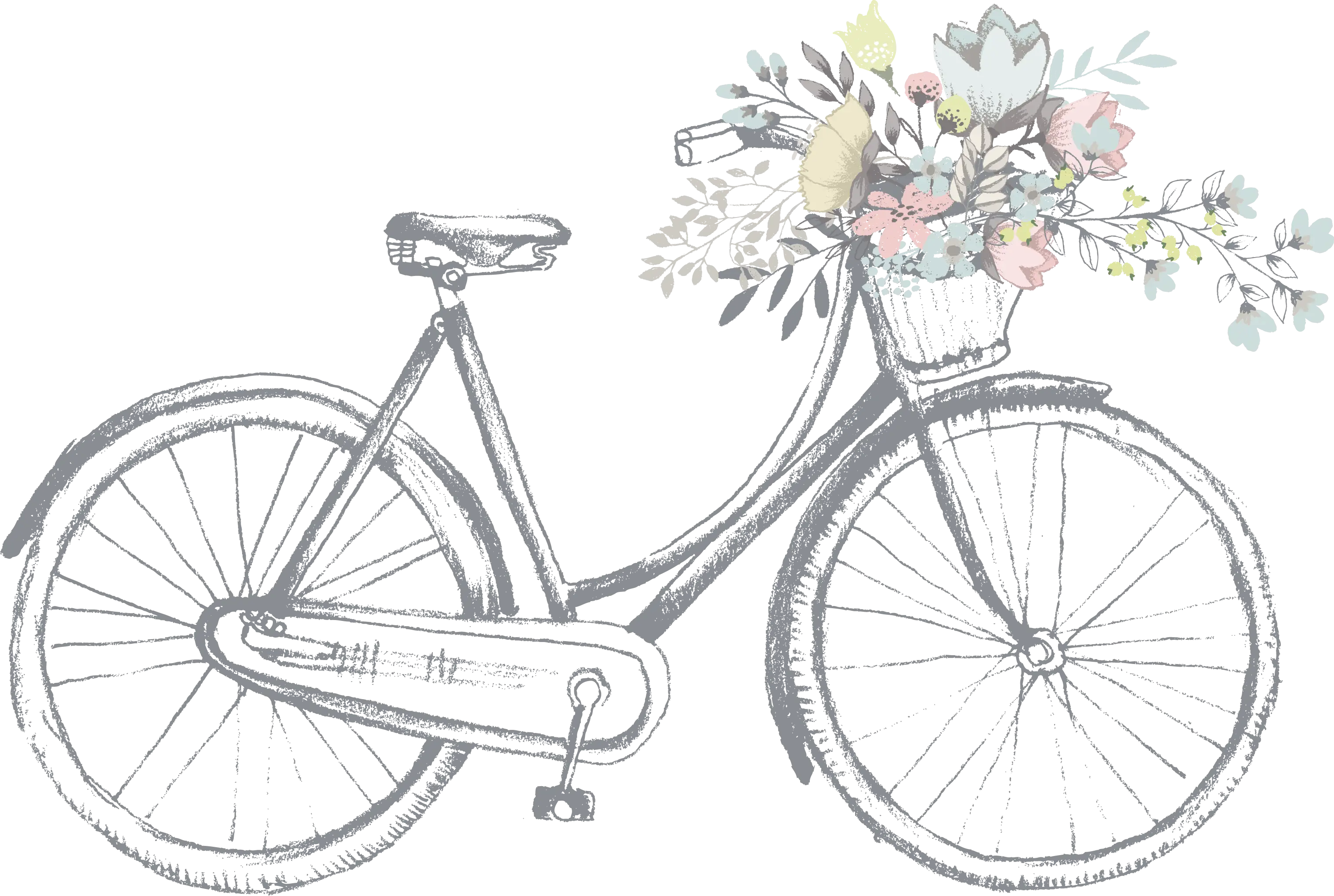 Vintage Bicycle with Flower Basket Illustration
