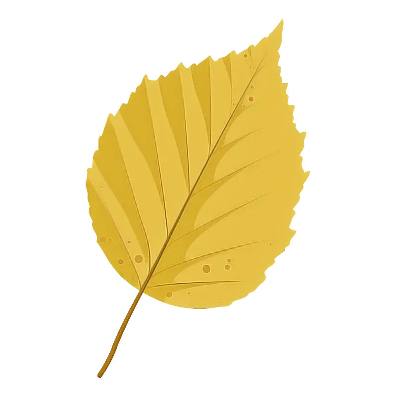 Yellow Autumn Leaf Illustration