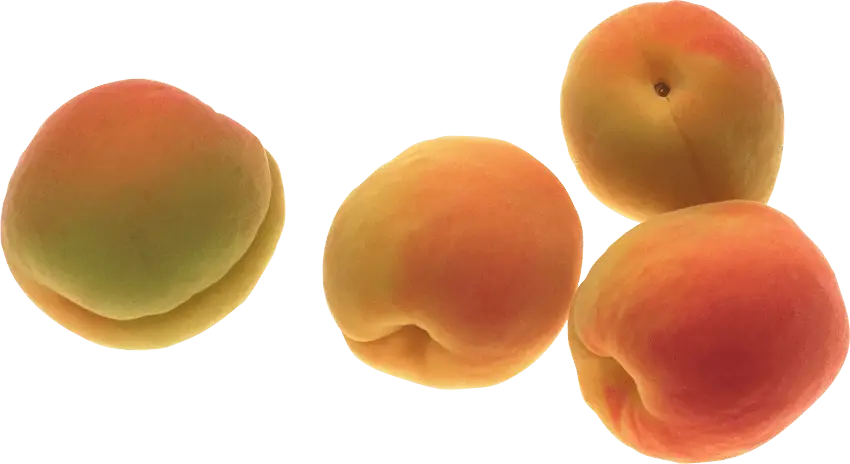Fresh Apricots with Vibrant Yellow-Orange Hues