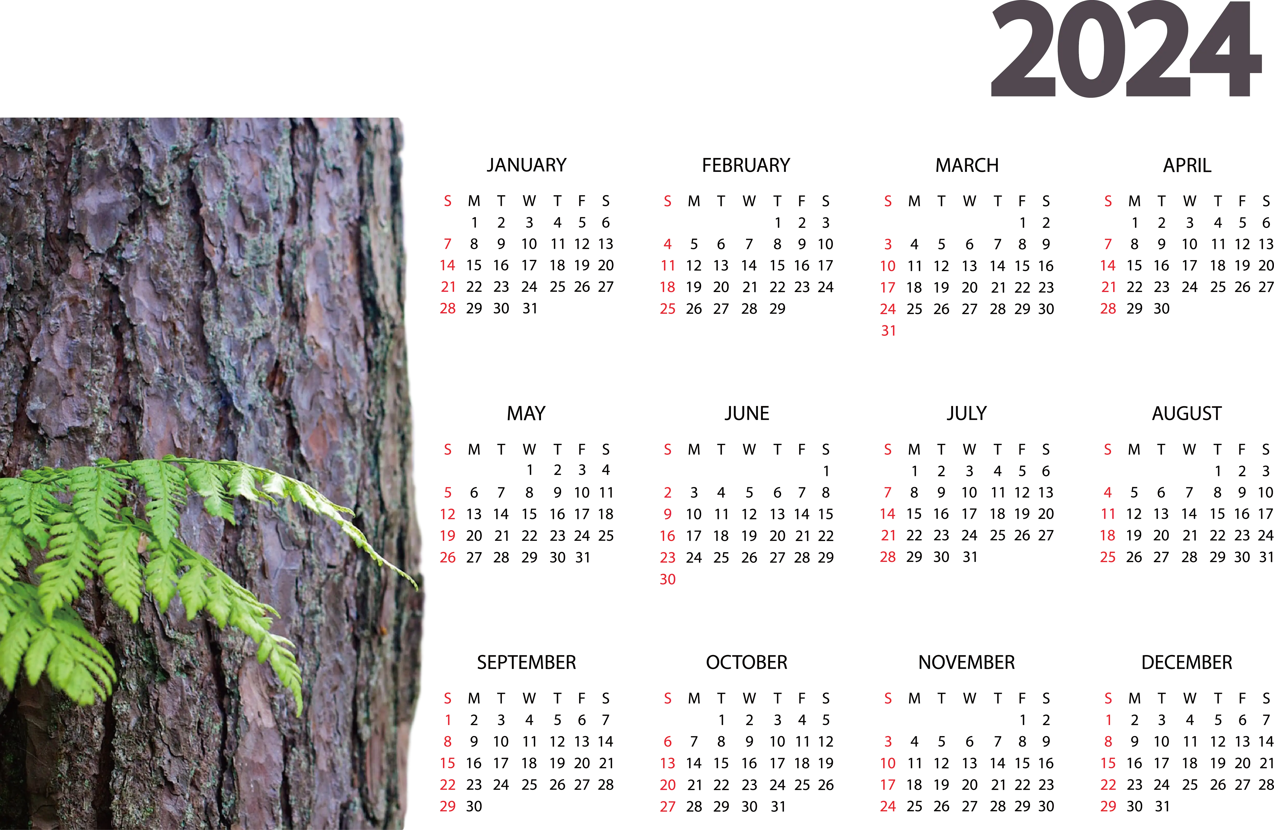 2024 Yearly Calendar