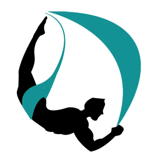 Acrobat Silhouette in Performance