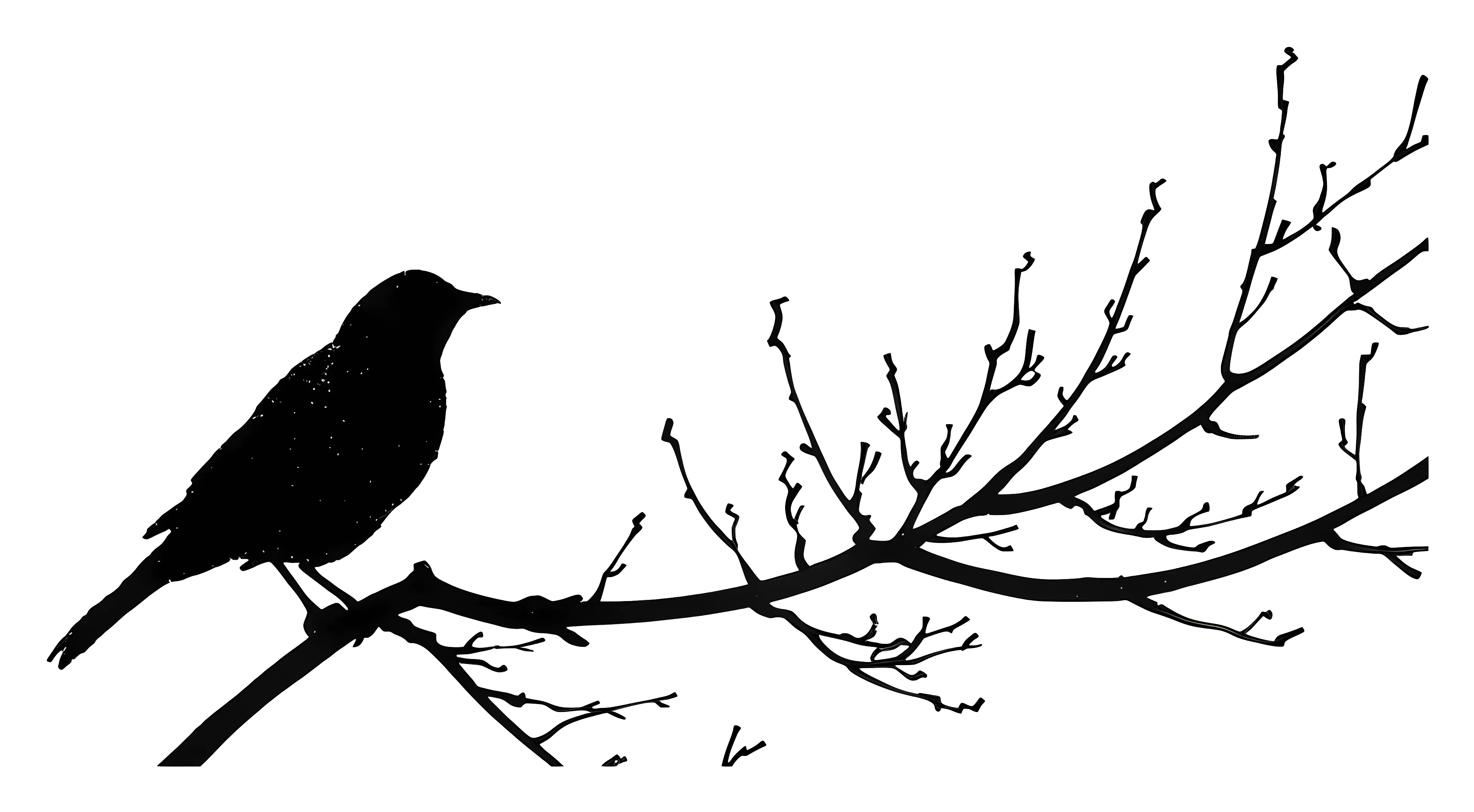 Bird Silhouette Perched on a Branch