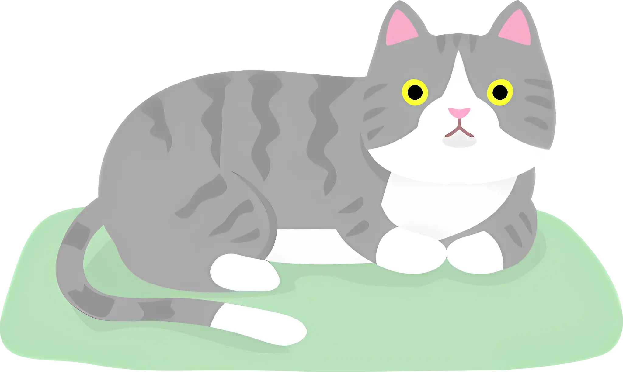 Gray Cat Resting on a Green Mat