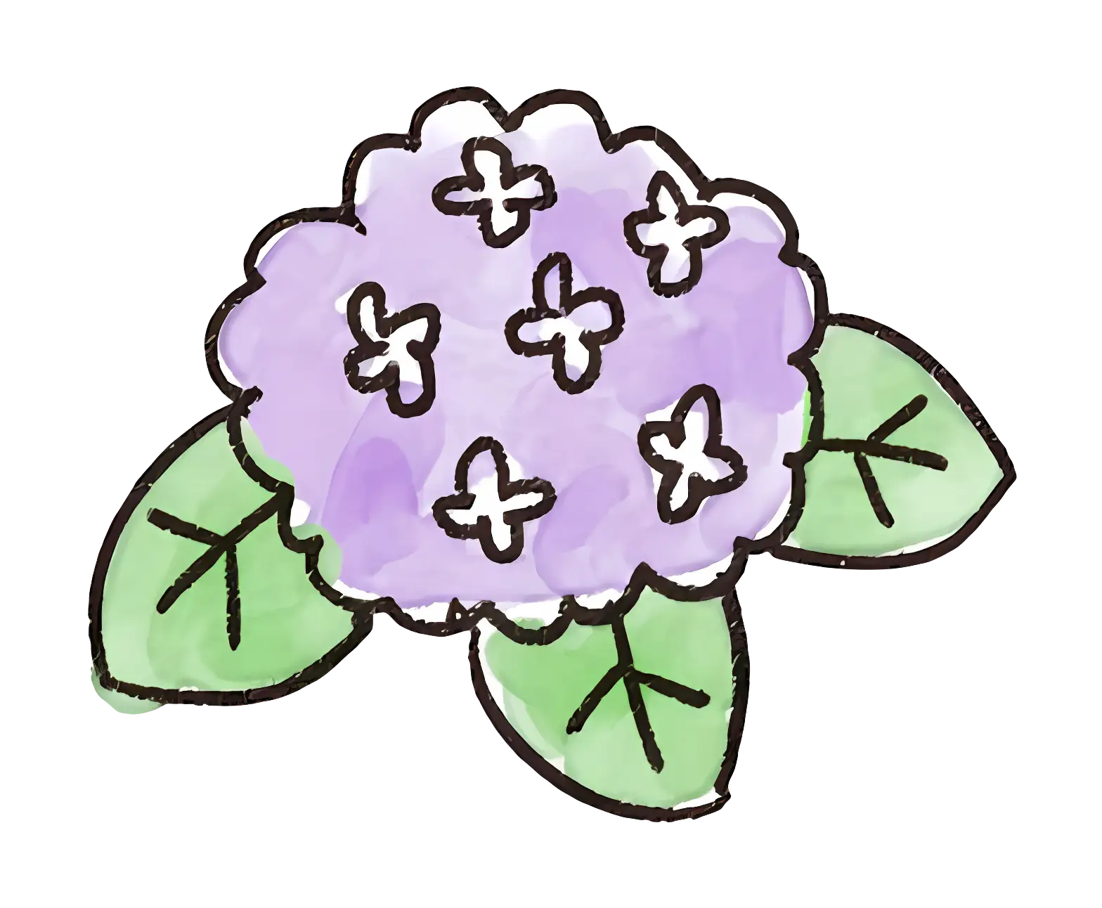 Purple Flower with Green Leaves
