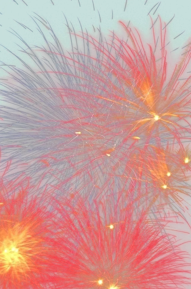 Colorful Fireworks Display