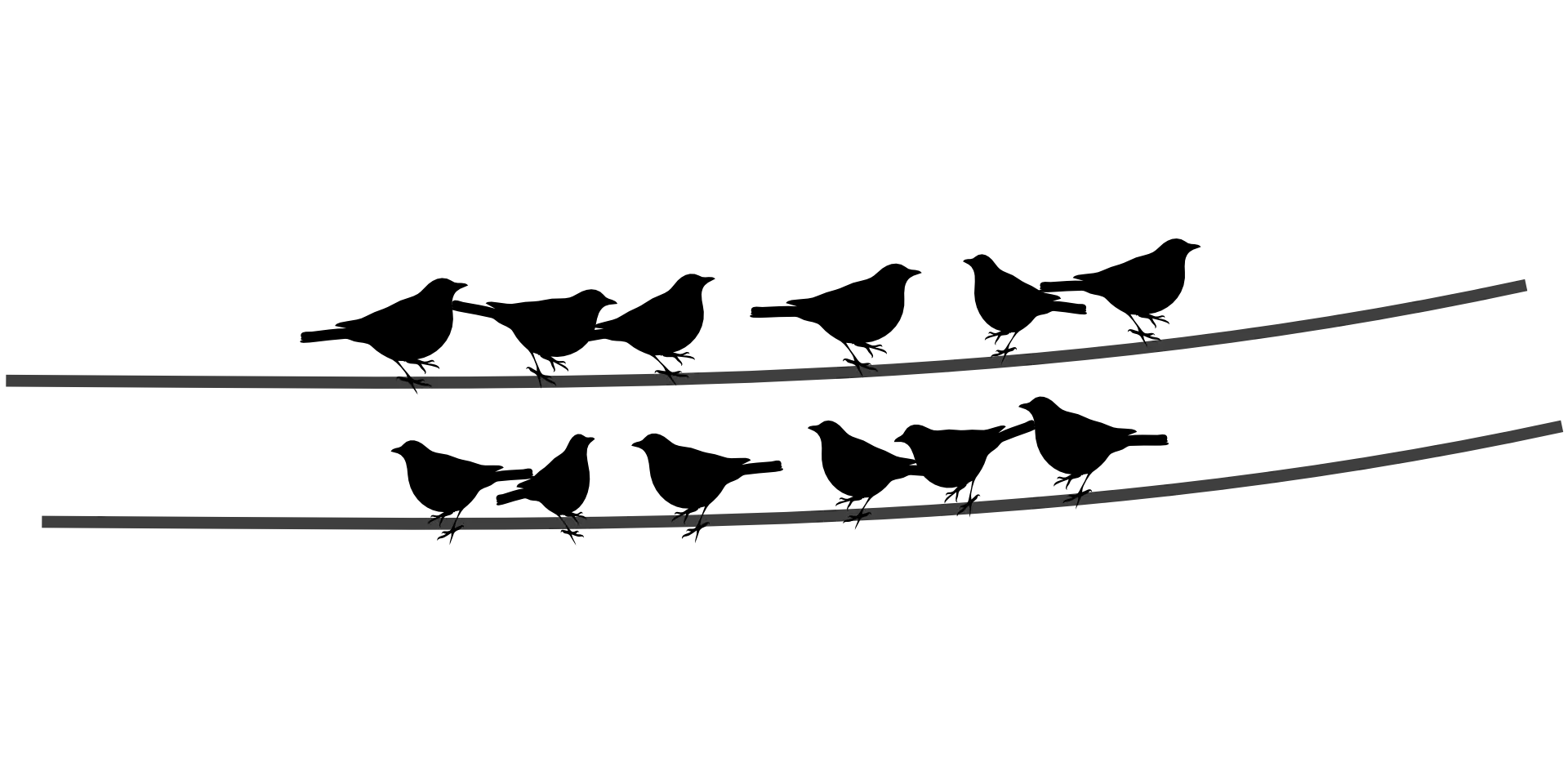 Silhouette of Birds Perched on Wires