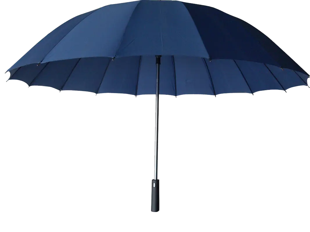 Blue Umbrella