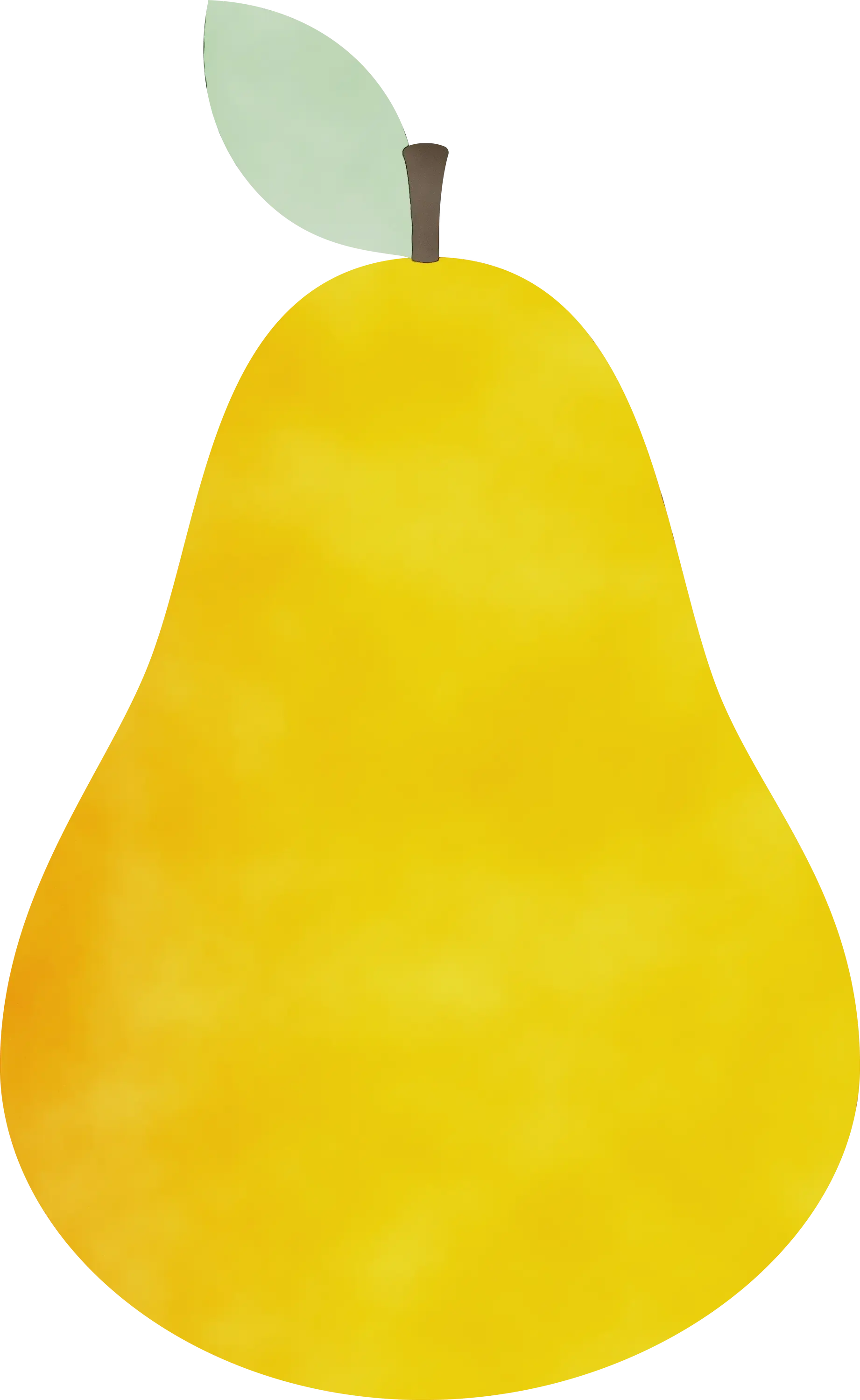 Yellow Pear Fruit Illustration