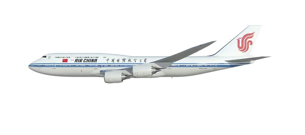 Airplane in Flight
