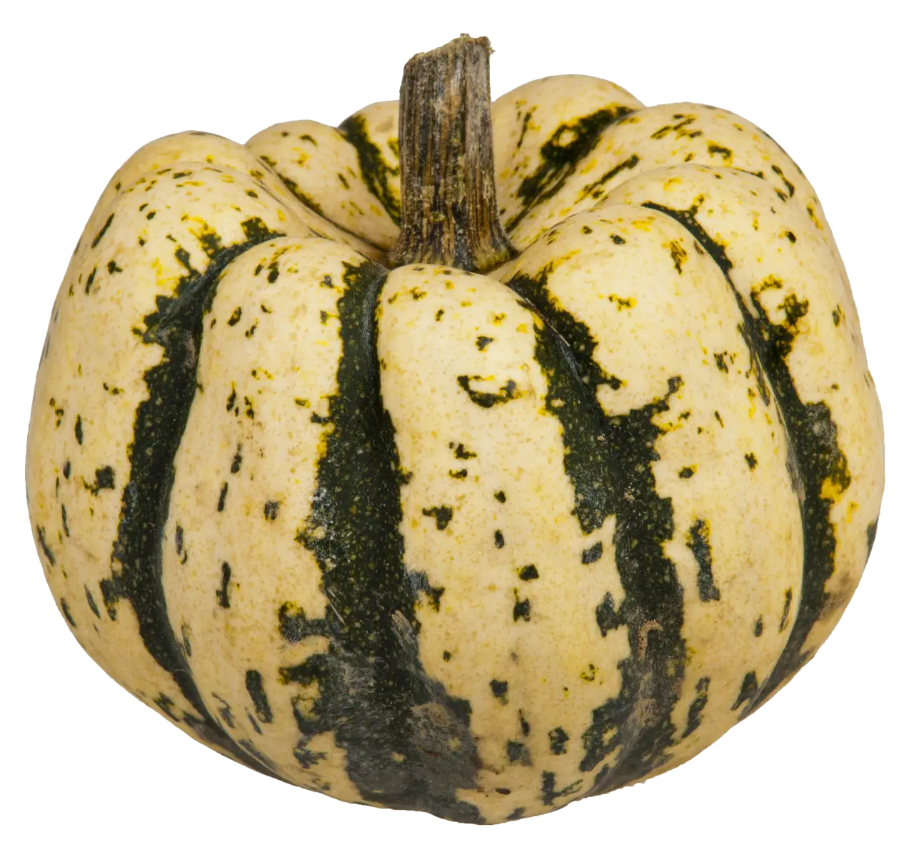 Striped Green and Yellow Pumpkin