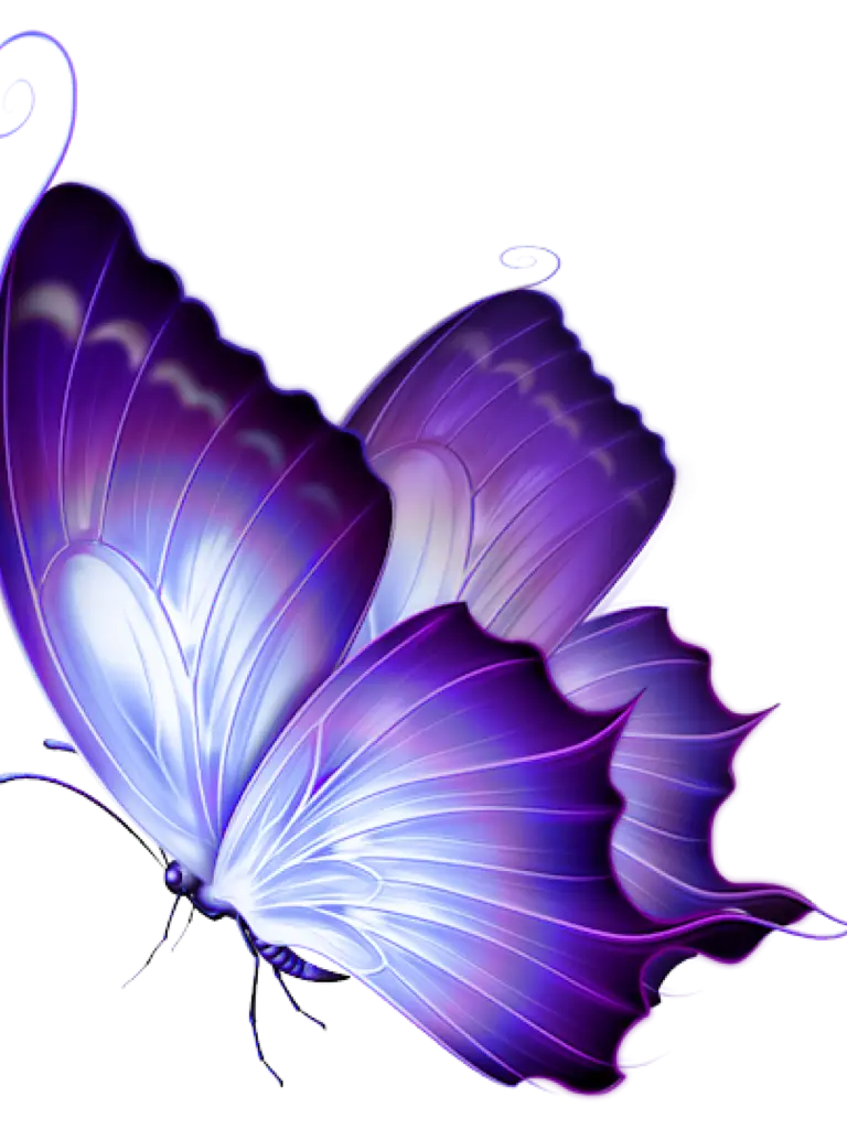 Purple Butterfly with Gradient Wings Illustration