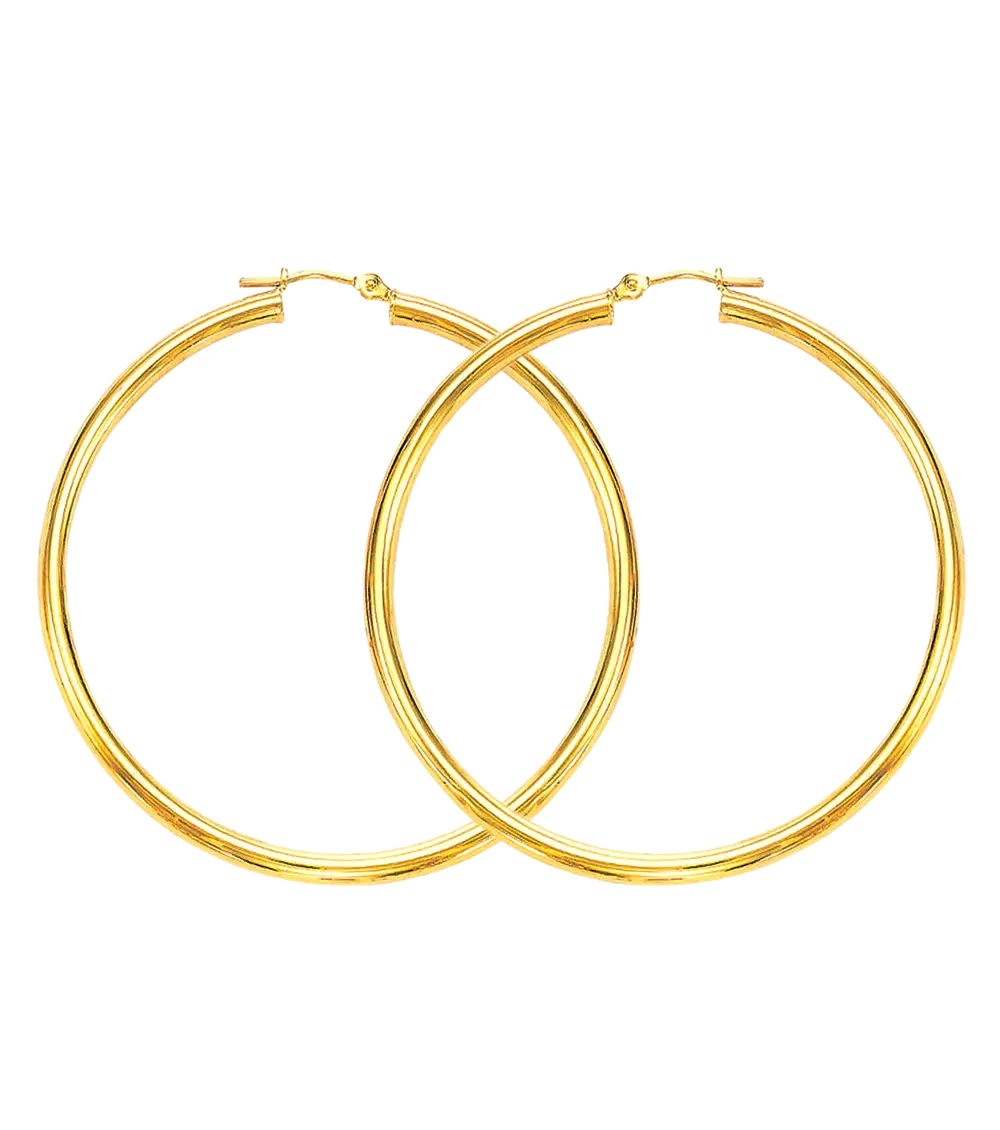 Golden Hoop Earrings for Fashion Accessories