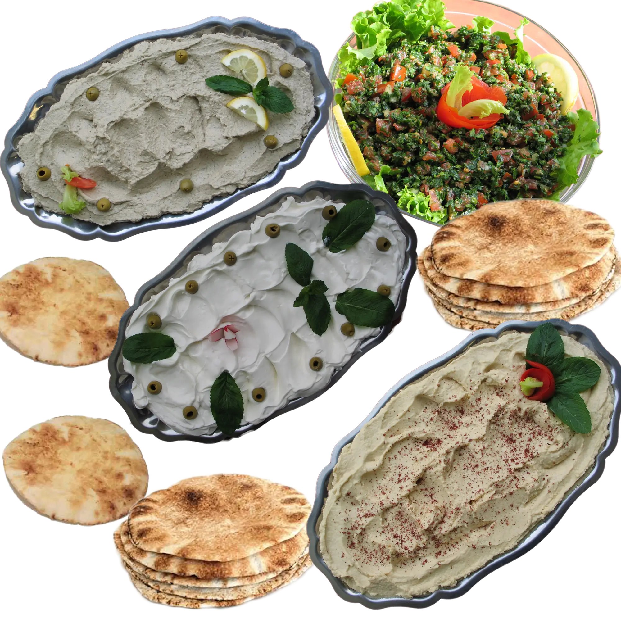 Middle Eastern Food with Pita Bread and Salad