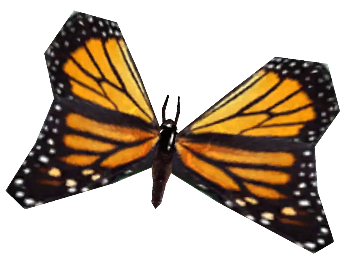 Beautiful Monarch Butterfly in Nature