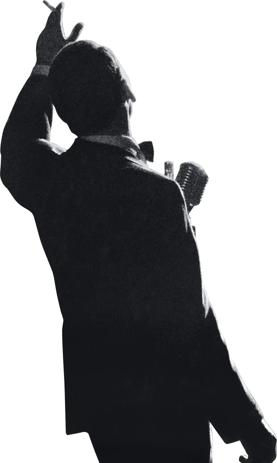 Silhouette of a Performer on Stage
