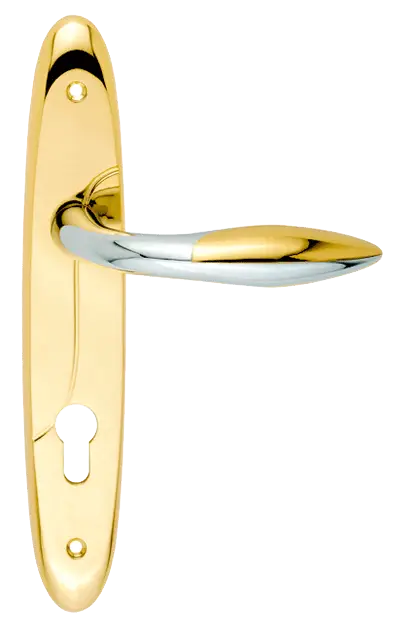 Golden Door Handle with Polished Design