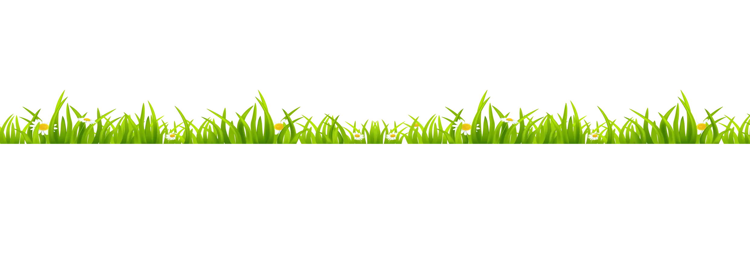 Row of Fresh Green Grass