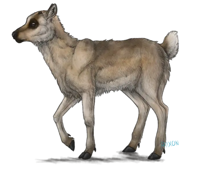 Illustration of a Baby Goat