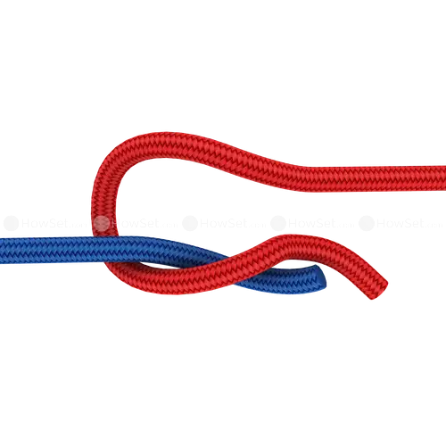 Red and Blue Ropes Knotted Together