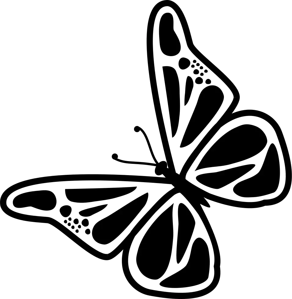 Black Butterfly Graphic Illustration