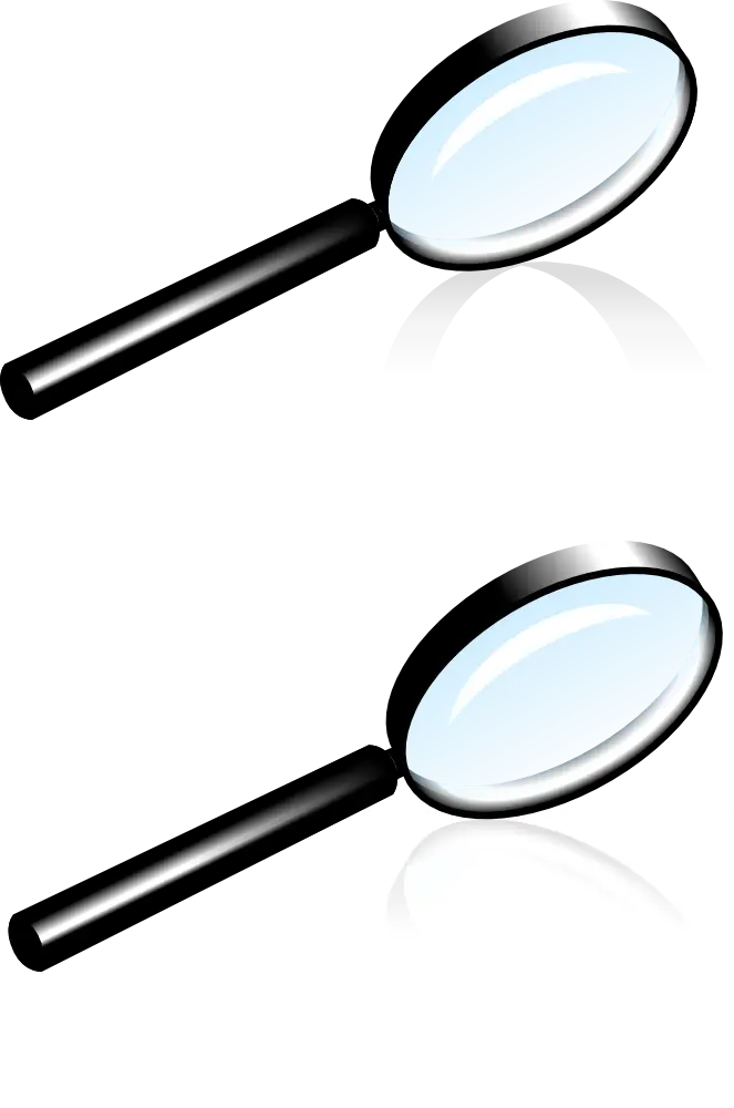 Black Magnifying Glass Pair Illustration