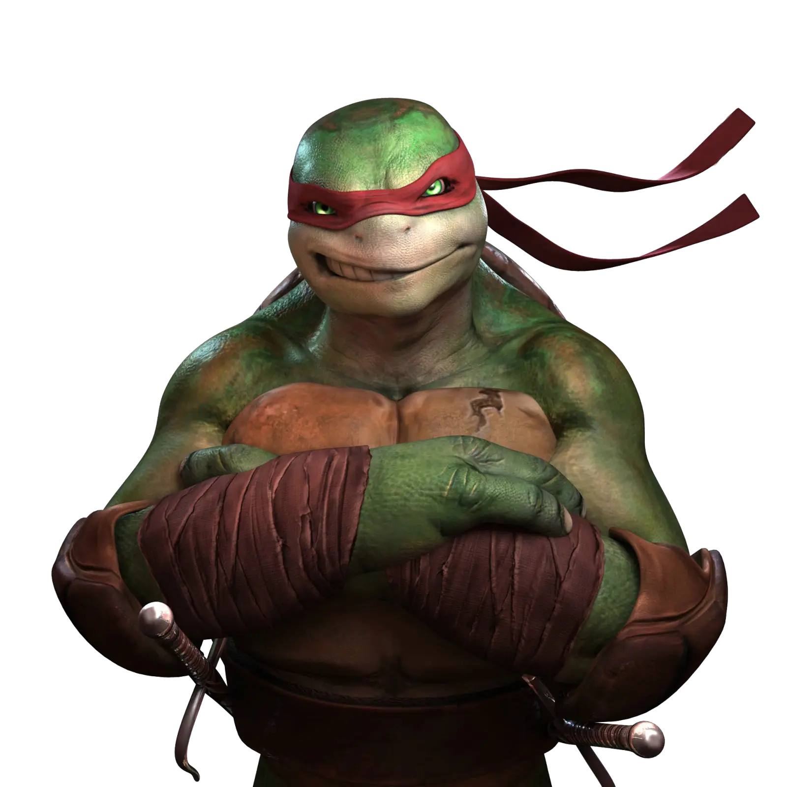Ninja Turtle Character