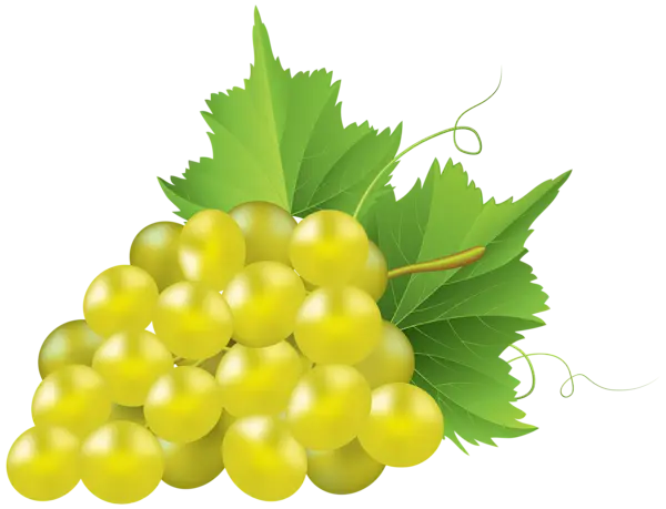 Green Grapes Bunch with Leaves