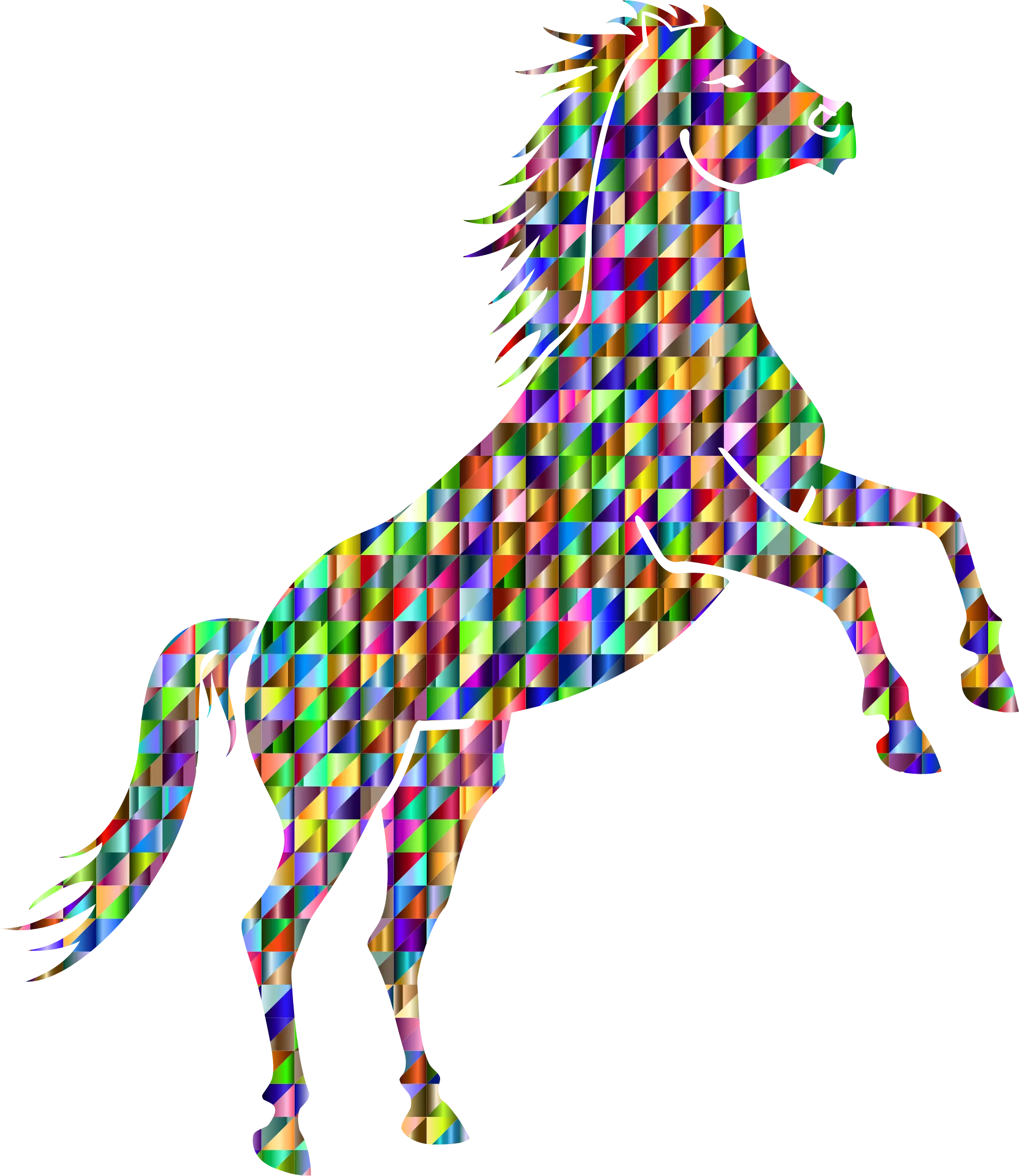 Colorful Geometric Horse Illustration