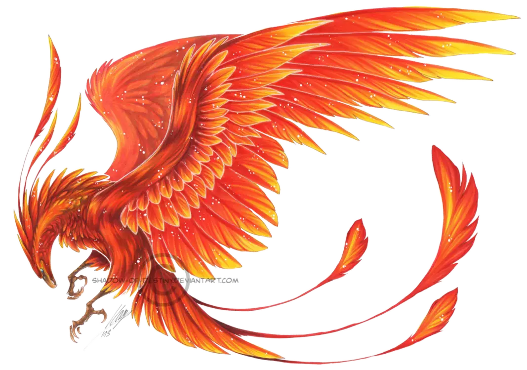 Fiery Phoenix Bird Illustration