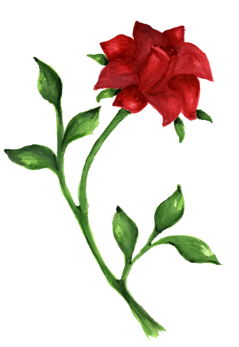 Red Flower with Green Stem in Watercolor Style