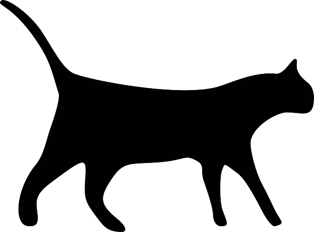 Black Cat Silhouette Illustration
