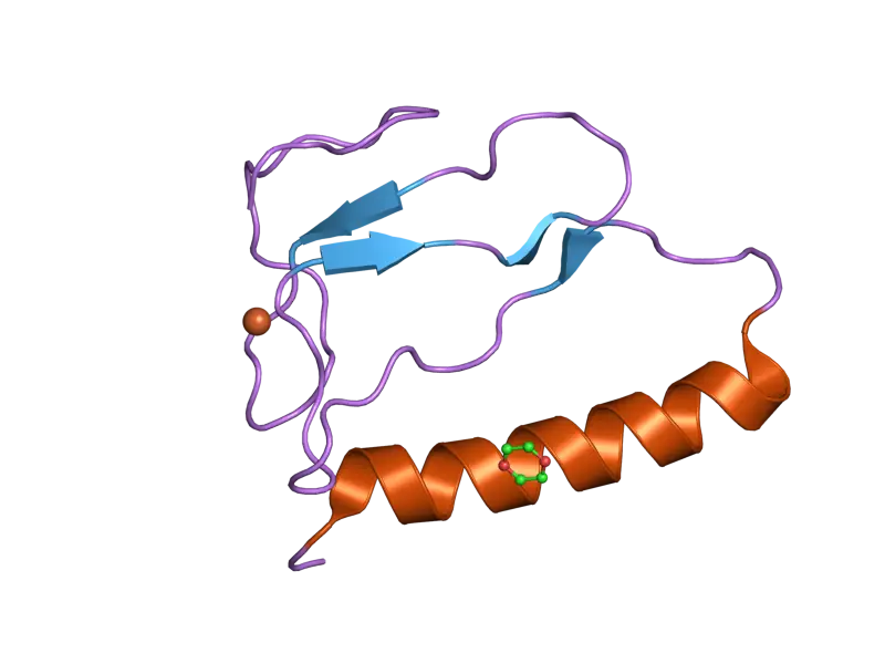 Protein Molecular Structure Illustration
