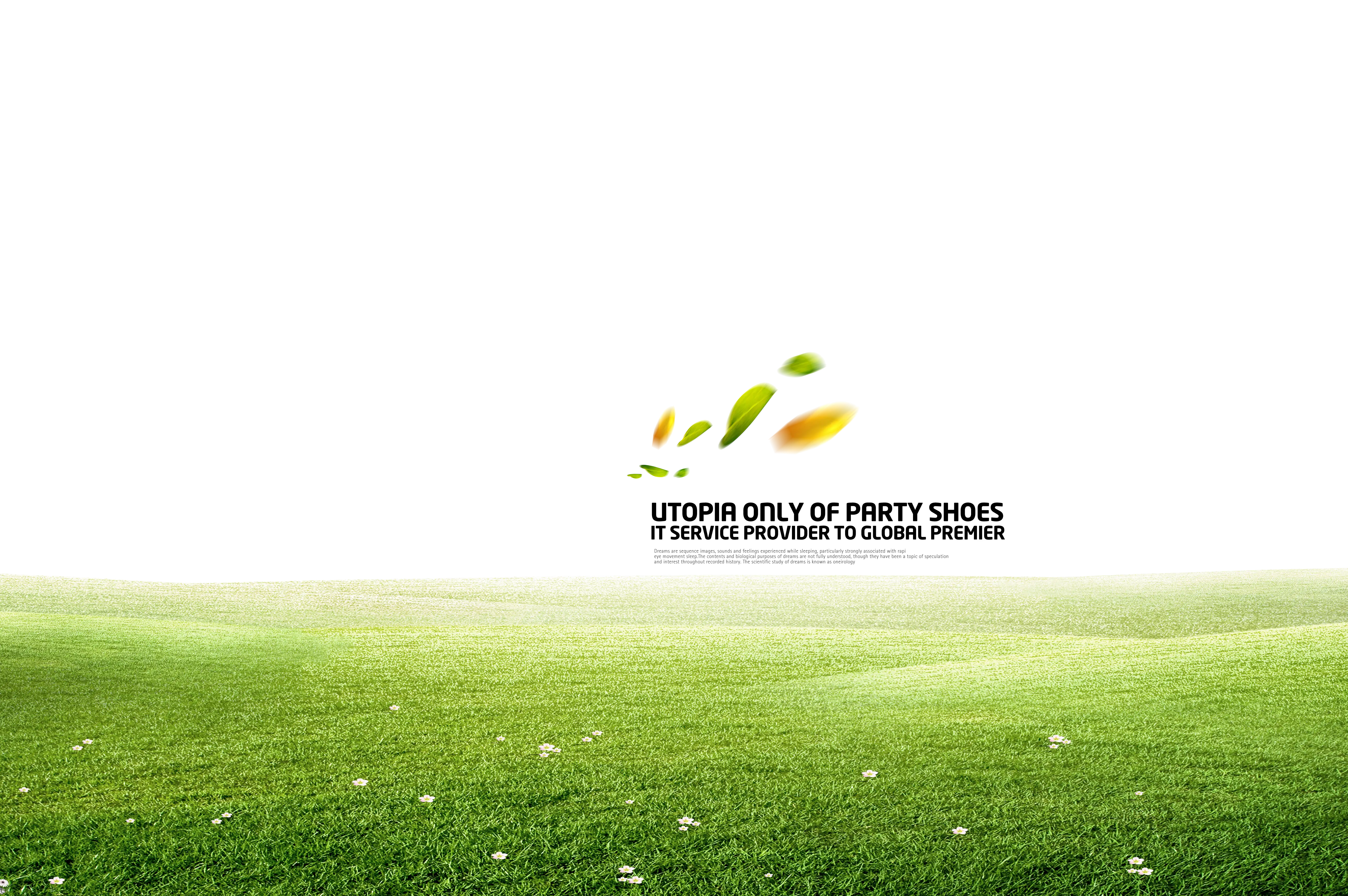 Green Grass Field Landscape