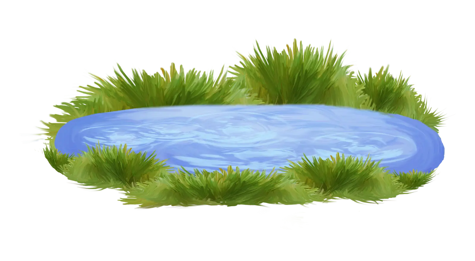 Small Blue Pond with Grass Surroundings