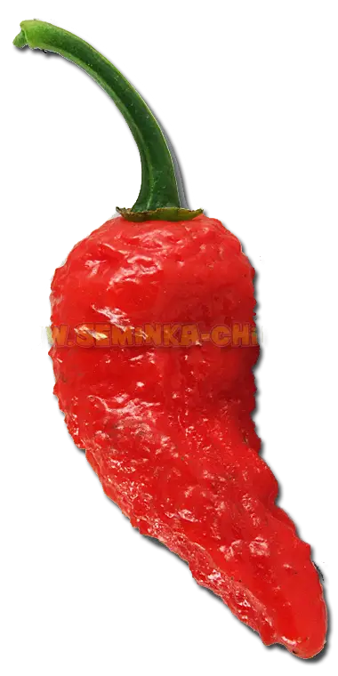 Red Spicy Chili Pepper