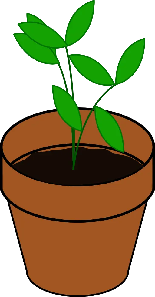 Potted Green Plant for Home Decor