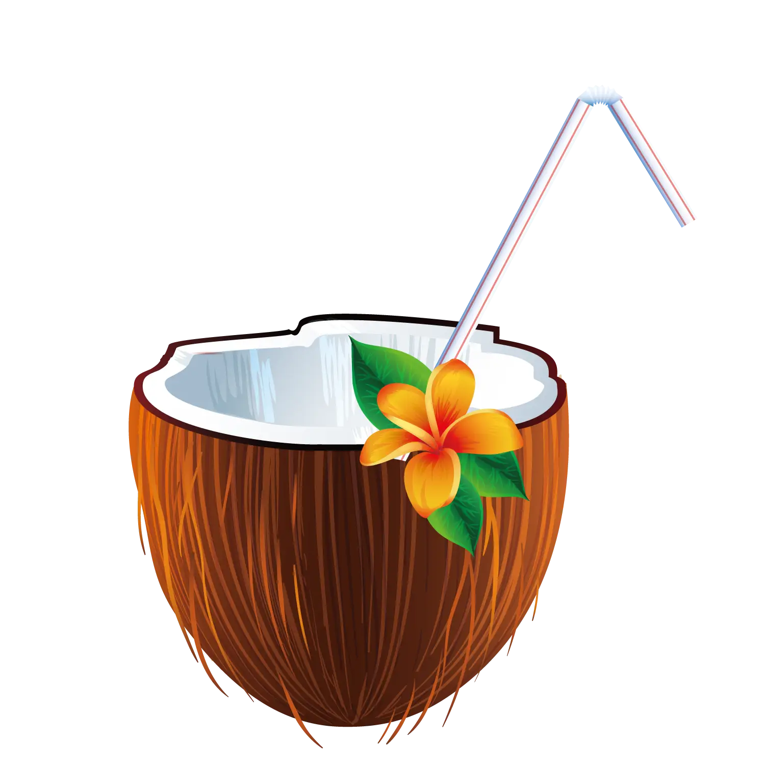 Tropical Coconut Drink