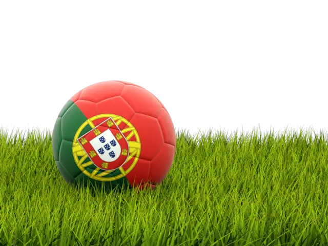 Portugal Soccer Ball on Grass