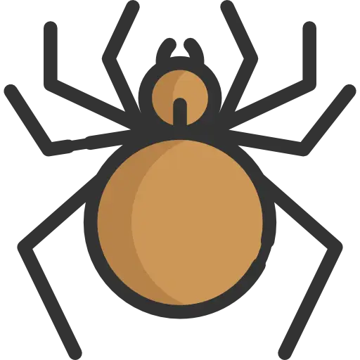 Brown Cartoon Spider Illustration