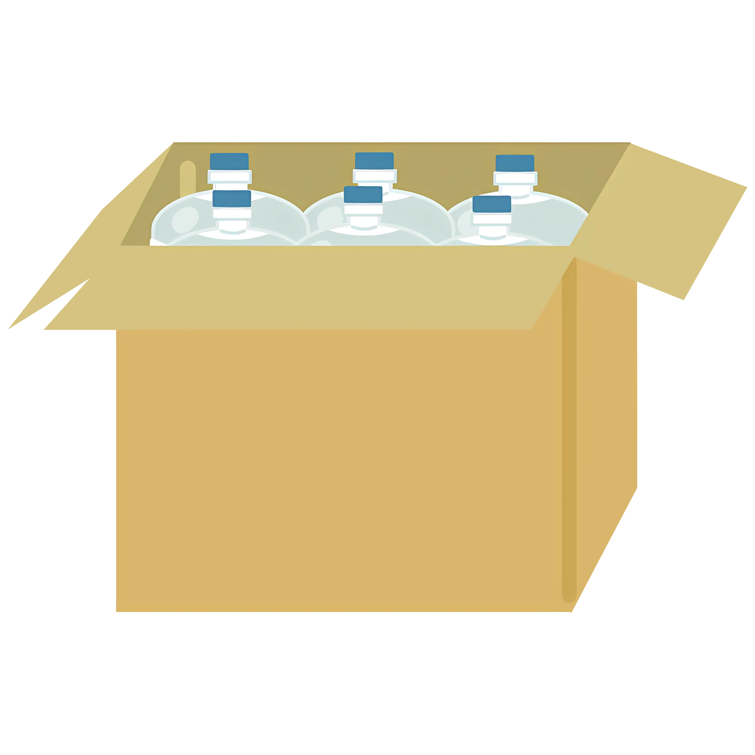 Cardboard Box with Water Bottles