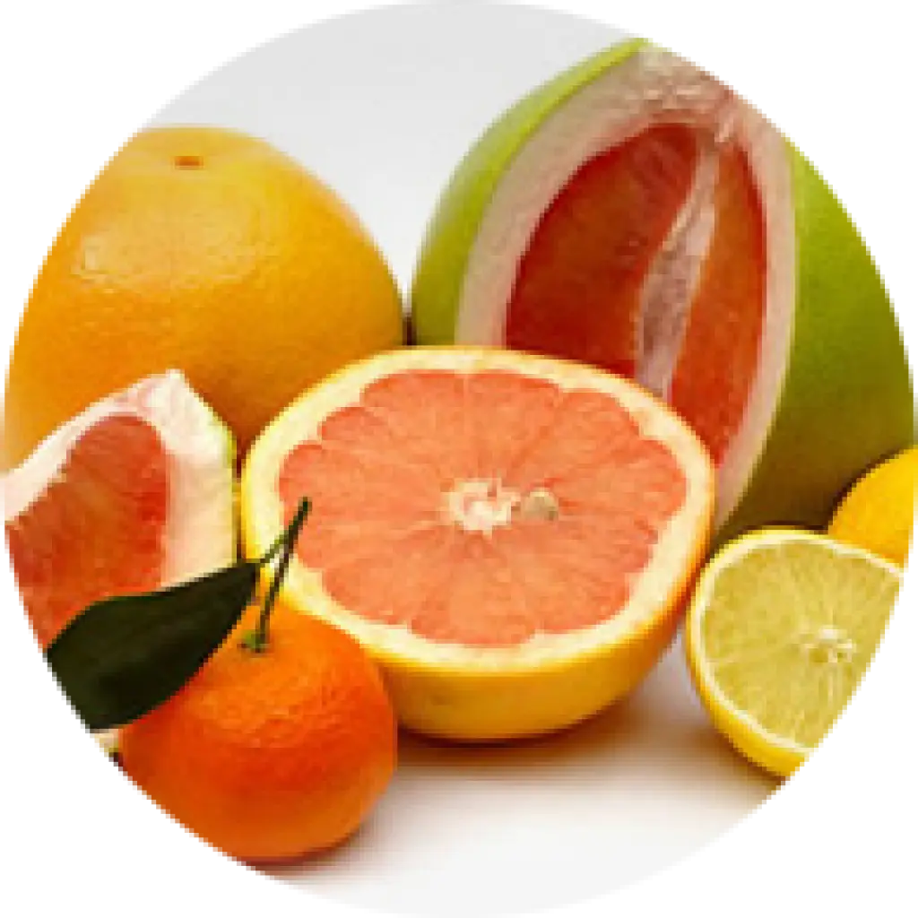 Fresh Citrus Fruits on Display
