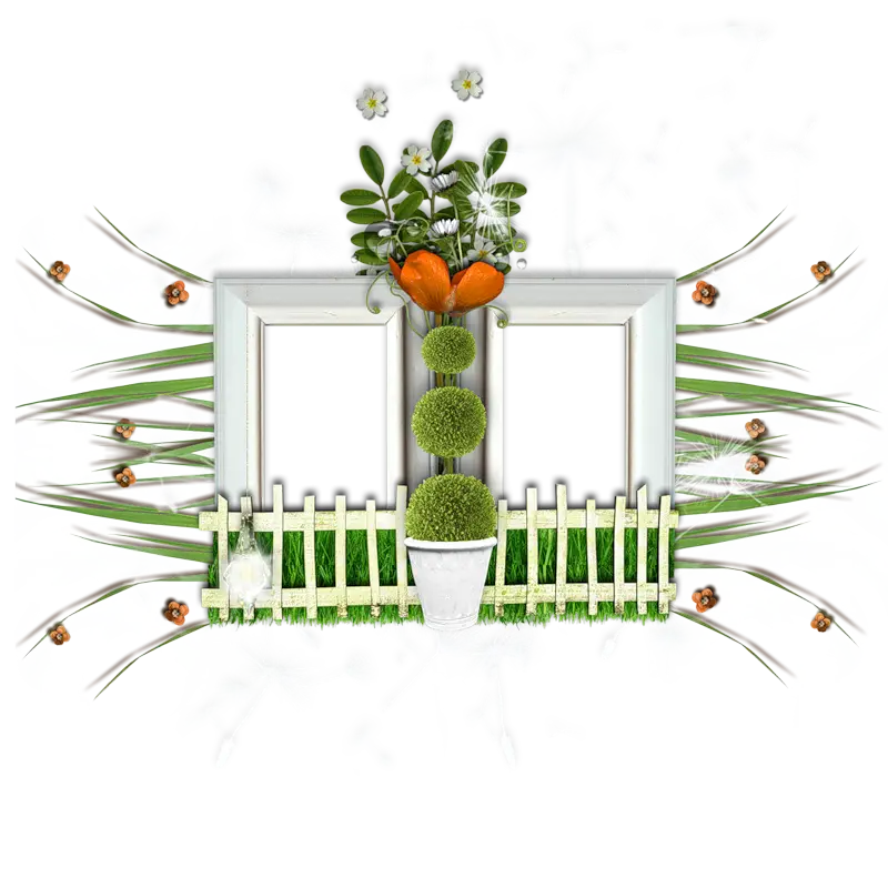 Garden Decoration Illustration
