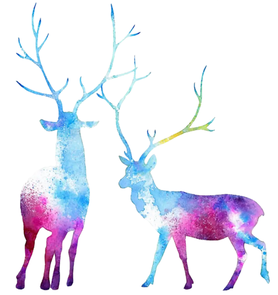 Colorful Watercolor Deer Illustration