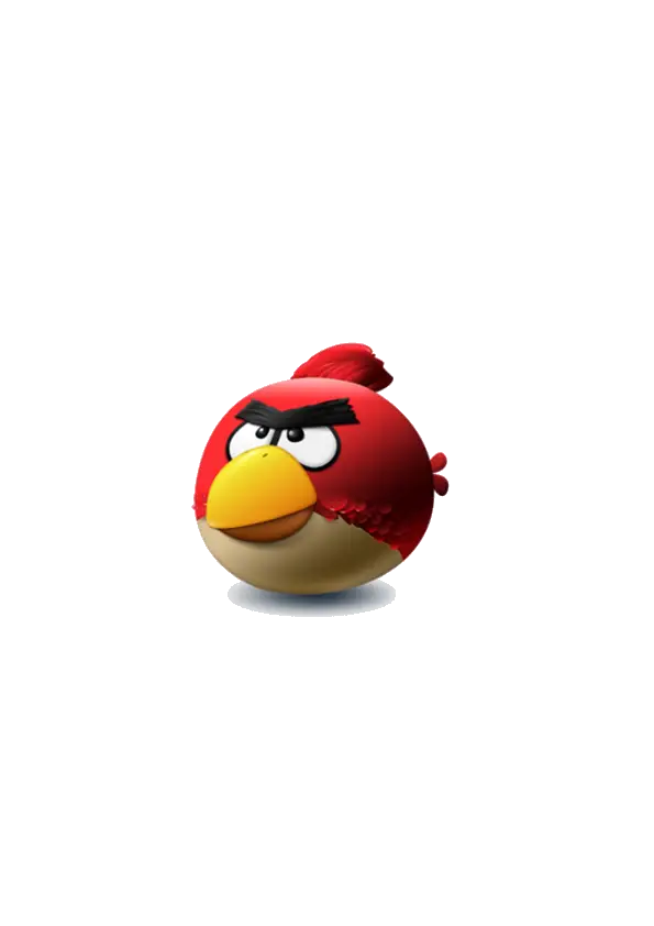Angry Bird Character Illustration