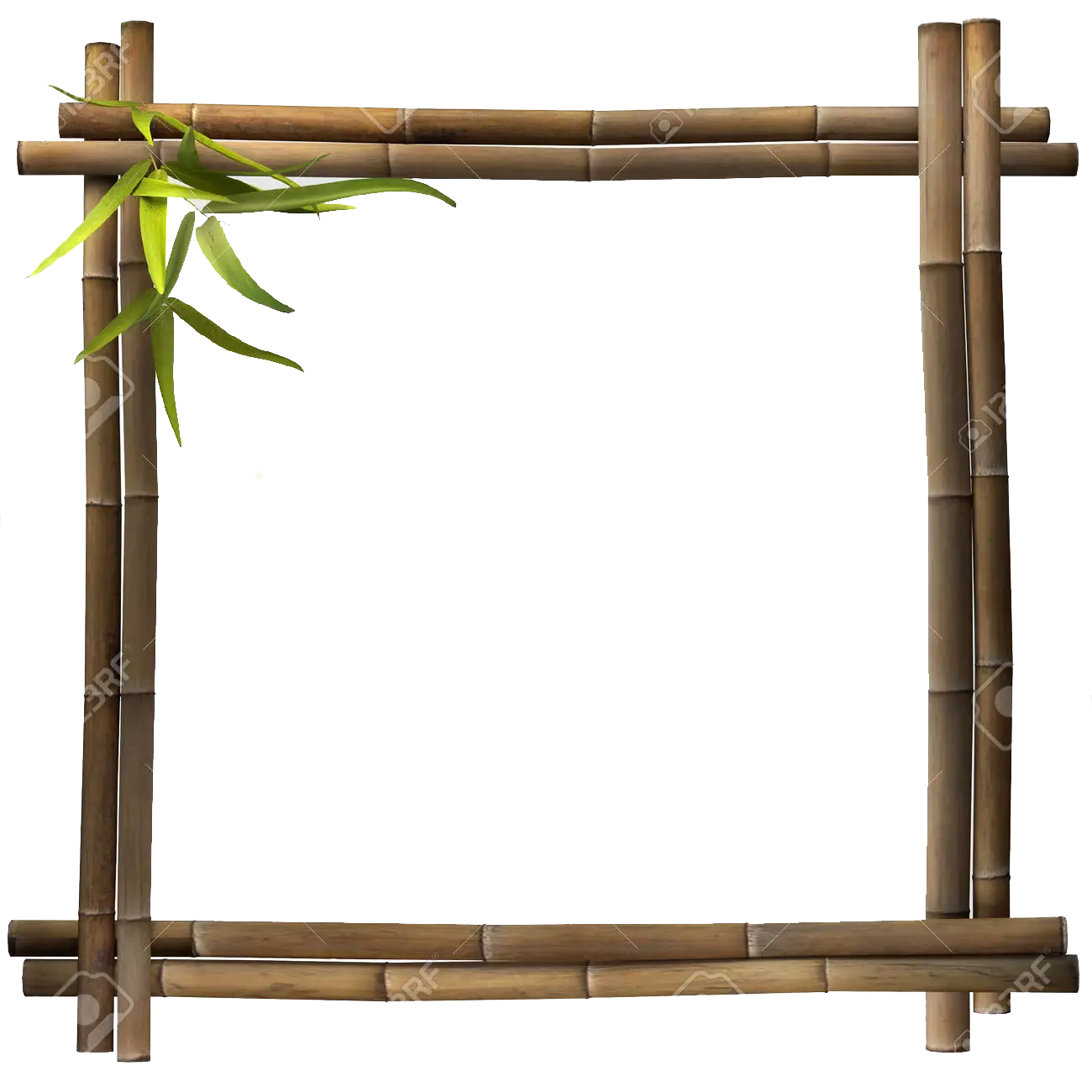 Rustic Bamboo Frame with Leaves